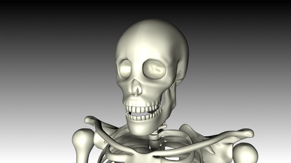 maya human skeleton - Skeleton (top) by philbert2286